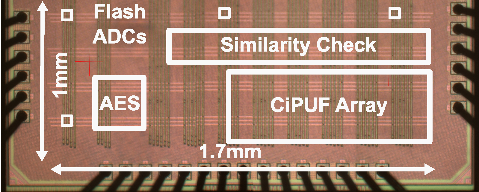 Chip Variant Boyang Cheng